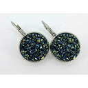 ステンレススチール メタリック ブルー フェイク ドゥルージー ストーン レバーバック ドロップ イヤリング 14mm Summerfield Collection Stainless Steel Metallic Blue Faux Druzy Stone Lever-back Drop Earrings 14mm