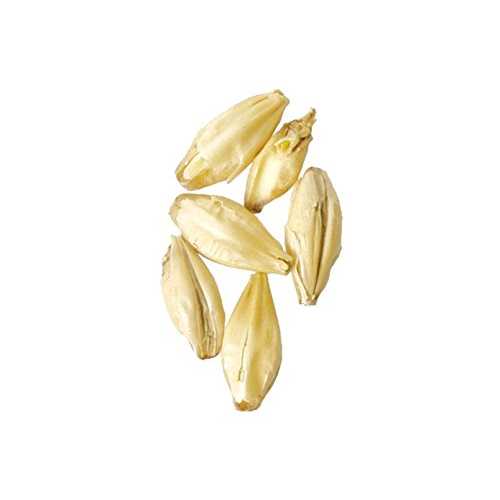 モルト - ピルゼン - 10ポンド Brewmaster Malt - Pilsen - 10 lb