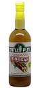 Datu Puti プレミアムサトウキビビネガー、25 オンス Datu Puti Premium Cane Vinegar, 25 Ounce