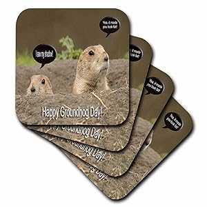 3dRose Groundhog I Saw My Shadow - եȥ8 ĥå (CST_27350_2) 3dRos...