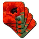 3dRose Beautiful Red Poppy - Ceramic Tile Coasters, set of 4