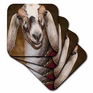 3dRose Nubian Dairy Goat Doe White Stripe Caprine sq - Soft Coasters, ...