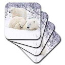3dRose Churchill Wildlife Management Area - ホッキョクグマと 2 頭の子グマ - セラミック タイル コースター、4...