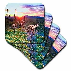 3dRose CST_206299_2 USA, Arizona, Wildf & Cacti at Sunset in Organ Pipe Cactus NP Soft Coaster (Set of 8)(3)