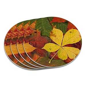 եʽιեå GRAPHICS & MORE Colorful Autumn Fall Leaves Coaster ...