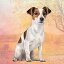 E&S Pets Jack Russell Absorbent Stone Coaster - Cork Back helps prevent scratches on furniture -..