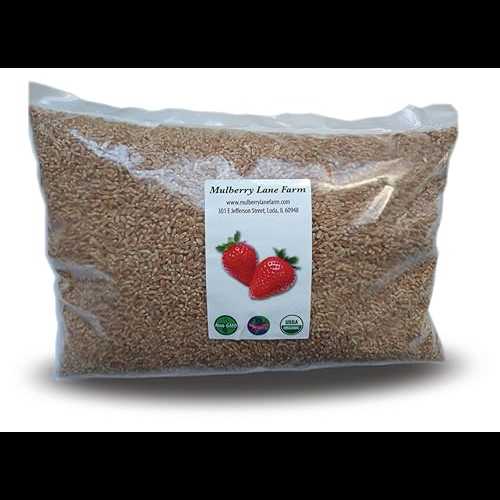 赤小麦ベリー ハード 4 ポンド USDA 認定オーガニック非遺伝子組み換えバルク Mulberry Lane Farms Red Wheat Berries Hard 4 Pounds USDA Certified Organic Non-GMO Bulk