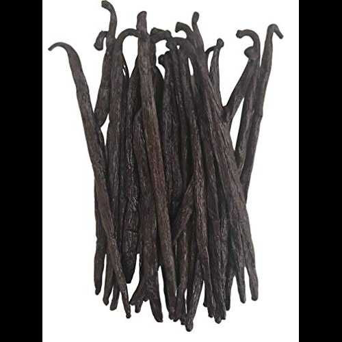 バニラビーンズ グレード A マダガスカル (10 個) 抽出、ペースト、調理、ベーキング用 by FITNCLEAN V..