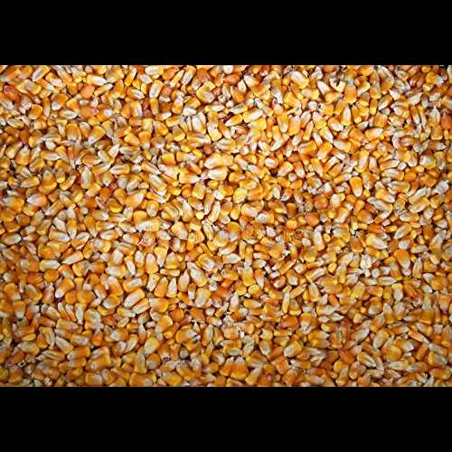 CZ Grain 4 Pounds Whole Kernel Feed Corn - Made in USA - Make Corn Meal