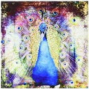 3dRose LLC cst_130412_3 セラミック タイル コースター、「Peacock Grunge Digital Art by Angelands...