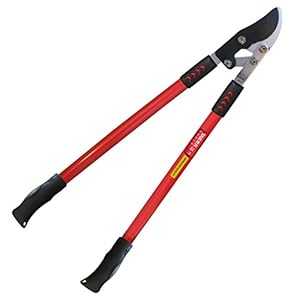TABOR TOOLS GG11A 複合アクション付きバイパスロッパー、太い枝を簡単に切ります、30 インチのツリートリマー、1 3/4 インチのクリーンカット能力を備えた枝カッター。 TABOR TOOLS GG11A Bypass Lopper with Compound Action, Chops Thick Branches wit