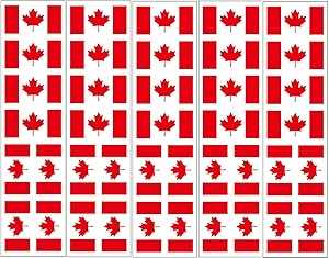 40 個のタトゥー: カナダの国旗、カナダのパーティーの記念品 PremiumTT temporary tattoos 40 Tattoos: Canada Flag, Canadian Party Favors