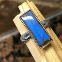 ナチュラル ブルー 虹色ラブラドライト 925 ソリッド スターリング シルバー リング サイズ 6 Natural Rocks by Kala Natural Blue Iridescence Labradorite 925 Solid Sterling Silver Ring Size 6(4)