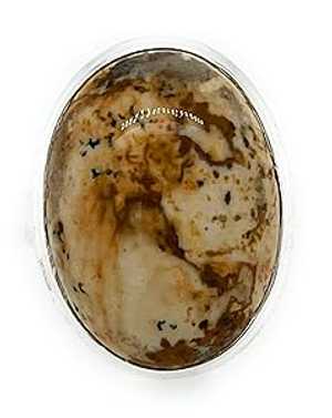 楽天市場】ピクチャー ド ジャスパーの通販