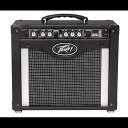 Peavey Rage 258 ギター コンボ アンプ Peavey Rage 258 Guitar Combo Amp