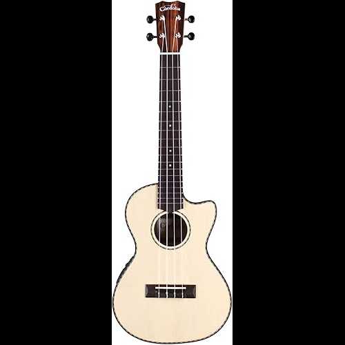 Tenor Cutaway Electric, Cordoba 21T-CE Spruce & Striped Ebony Tenor Cu...