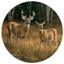 ローズマリー・ミレット作のオジロ鹿コースター Wild Wings Whitetail Deer Coasters by Rosemary Millette