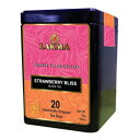N}v~AeB[RNVXgx[uXg-20eB[obOiGMOt[AOet[Ait[AVK[t[A100i`j Lakma Premium Tea Collection Strawberry Bliss Black Tea - 20 Tea Bags (GMO Free, Gluten F