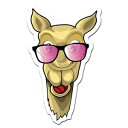 MightySkins Cool Camel 12