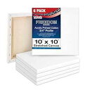 U.S. Art Supply 10 x 10 inch Stretched Canvas 12-Ounce Triple Primed, 6-Pack - P...