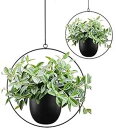 ABETREE 2個 ボヘミアンメタル ハンギングプランター 屋内植物用 フック付き モダンな壁と天井プランター ミッドセンチュリー ミニマリスト フラワーポットホールド プランター 屋外植物 ホームデコレーション用 ブラック ABETREE 2 Pcs Boho Metal Hangi(3)