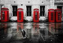 Posterazzi PDXVKRC006ASMALL ロンドン電話ブースの鳥の写真プリント、24 x 18、マルチ Posterazzi PDXVKRC006ASMALL London Phone Booths Bird Photo Print, 24 x 18, Multi
