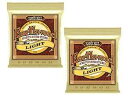 アーニーボール アコースティックギター弦 - Earthwood 2006 80/20 - XL - 10-50 - 2 パック Ernie Ball Acoustic Guitar Strings - Earthwood 2006 80/20 - XL - 10-50 - 2 Pack