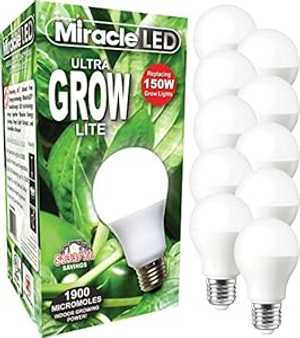 604762 MIRACLE LED ULTRA Grow ѿ̺ LED Ĺ饤 12W 150W  (10 ѥå) ...