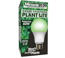 MiracleLED 604614 スペクトラム ステイシス ライト、1 パック、グリーン 60W 栽培室 MiracleLED 604614 Spectrum Stasis Light, 1 Pack, Green 60W Grow Room(3)