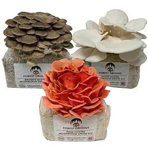 Forest Origins Specialty Trio Oyster Mushroom Grow Kit 3-Pack Variety - Beginner...