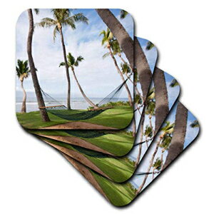 3dRose CST_89189_1 Hammock Under Hawaiian Palm Trees, Maui, Hawaii US10 JGS0038 Jim Goldstein Soft Coasters, Set of 4