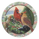 Thirstystone Stoneware Coaster Set, Cardinal Sleighride