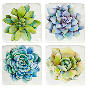 中西部の多肉植物ドリンクコースター4樹脂セット MIDWEST-CBK Midwest Succulent Plants Drink Coasters Set of 4 Resin