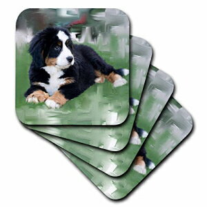 3dRose CST_4038_3 Bernese Mountain Dog-Z~bN^CR[X^[A4Zbg 3dRose CST_4038_3 Bernese Mountain Dog-Ceramic Tile Coasters, Set of 4