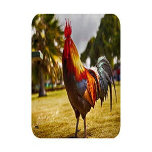 ファームルースターワイルドライフコレクションドリンクコースター4個セットギフトバーキッチンホームチキン Rogue River Tactical Farm Rooster Wildlife Collection Drink Coaster Set of 4 Gift Bar Kitchen Home Chicken