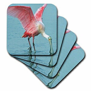 3dRose CST_35348_1åץȥסӥԥ󥯥ȥԥåС-եȥ4ĥå 3dRose CST_35348_1 Upclose Roseate Spoonbill Pink Tropic Bird-Soft Coasters, Set of 4