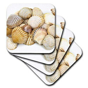 3dRose Sea Shells by the Sea Shore - Summer - Beach Theme - Soft Coasters, set of 8