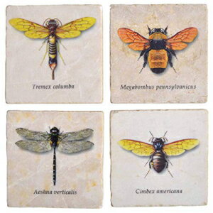 Studio Vertu Flying Insectsマーブルコースター、4個セット Studio Vertu Flying Insects Marble Coasters, Set of 4