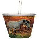 Xg[t̐ÂȎԂ̔n̓dǂ̃N[ȃgxJbvA16IX-n̈DƂƏL҂ւ̃Mtg-c[t[̈A80136 Quiet Time Horse Double Wall Cool Travel Cup with Straw, 16-Ounce - Gift for Horse Lovers and Owners - Tree-Fr
