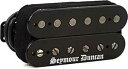 Seymour Duncan Black Winter Humbucker Pickup - Trembucker, Bridge