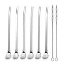 EvaGO Reusable Stainless Steel Drinking Straws with Filter Spoon 6 Pieces Yerba ...