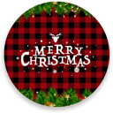 0.20x3.9inx2, STAYTOP Christmas Absorbent Coasters For Drinks, Pine Tree Branch Red And Black Plaid Tabletop Protection Mat, Round Ceramic Stone Coaster With Cork Base, No Holder, 2Pcs
