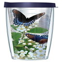 Signature Tumblers Blue Admiral Butterflies on White Potentilla Flower Wrap on Clear 16 Ounce Double-Walled Travel Tumbler Mug with Navy Blue Easy Sip Lid