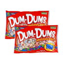 ダムダムズ オリジナルポップス 300枚入 袋(2個入) Dum Dums Original Pops, 300-Count Bag (2 Pack)