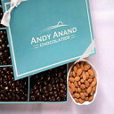 Andy Anand's Chocolates - プレミアム カリフォルニア アーモンドをグルメ ミルク チョコレートで覆った法人ギフト、すべて天然、天然成分で作られた認定品 - 1 ポンド Andy Anand’s Chocolates - Premium California Almonds covered with Gourmet