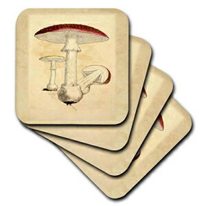 古い植物学の本からの赤いヴィンテージキノコの3dRose画像-セラミックタイルコースター、4個セット（CST_223063_3） 3dRose Image of Red Vintage Mushroom from Old Botany Book - Ceramic Tile Coasters, Set of 4 (CST_223063_3)