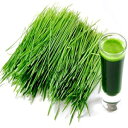 Z Natural Foods Organic Barley Grass Juice Powder - 5 lb Bulk Size - Amazing Green Superfood Perfect For Smoothies, Drinks, Recipes - Rich In Vitamins, Minerals, Antioxidants - Raw, Vegan, Non GMO