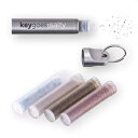 Key Chain Rings by Keygoes:chili, Key Chain with 5 salty Refills for Home Car Keys Attachment, Stainless Steel