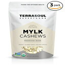 Terrasoul Superfoodsオーガニック生カシューナッツ（ミルクグレード）、6ポンド Terrasoul Superfoods Organic Raw Cashews (Mylk Grade), 6 Pounds