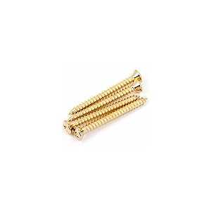 ե 001 8785 049 ͥåץ졼ȥͥ  Fender 001 8785 049 NECK PLATE SCREW...